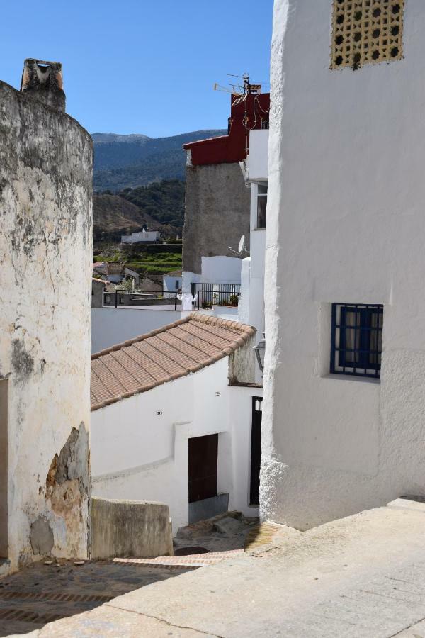 Appartamento Centro De Arte Yunquera Esterno foto